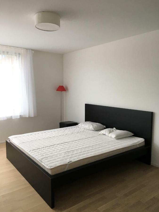 Close To Zuerich Centre And Airport โคลเธ่น ภายนอก รูปภาพ